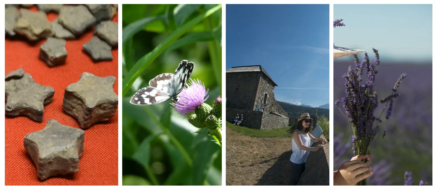 Cet été, venez rencontrer ceux qui font vivre la Haute Provence