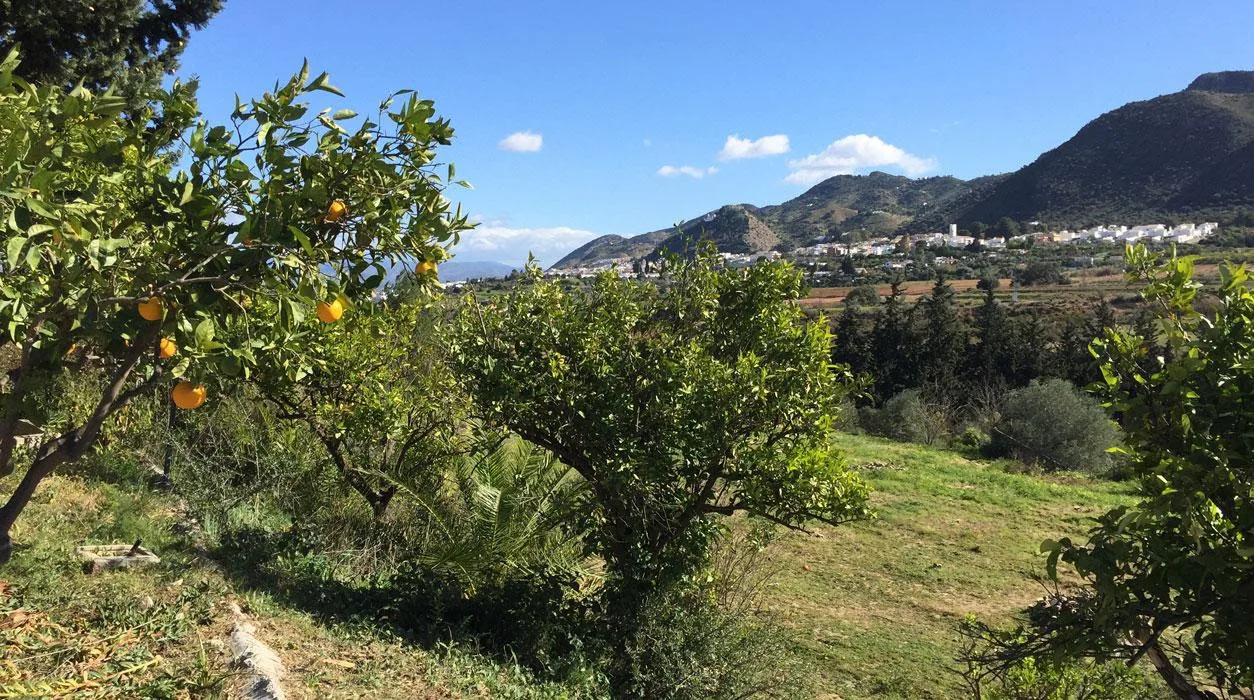 Cártama-Malaga Collection, la nouvelle localisation Un Lit au Pré en Espagne