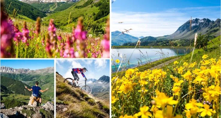 Vars (Hautes Alpes) : 2 vallées aux accents méridionaux