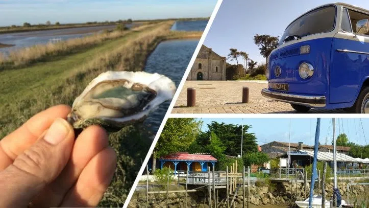 L’Estuaire de la Gironde, un havre de paix aux milles une facettes