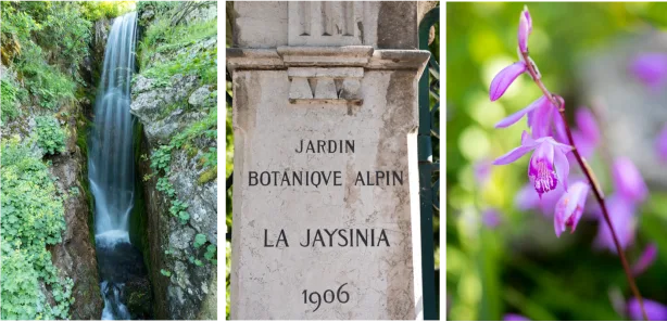 Samoëns cultive son jardin !
