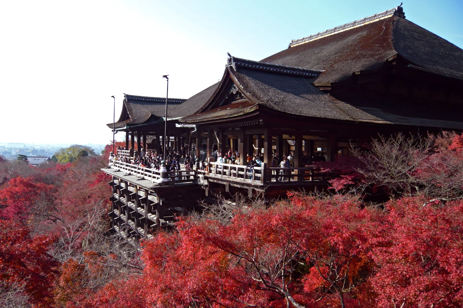 Voyage au Japon : un circuit inoubliable au pays du Soleil Levant