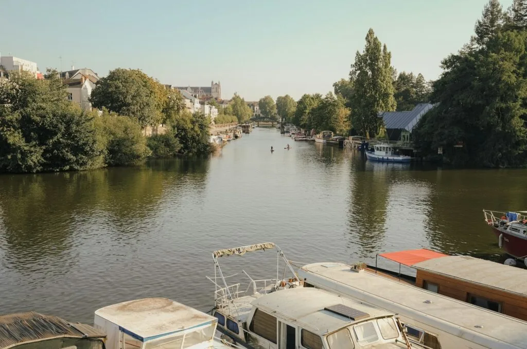 a river filled with lots of boats next to a forest
