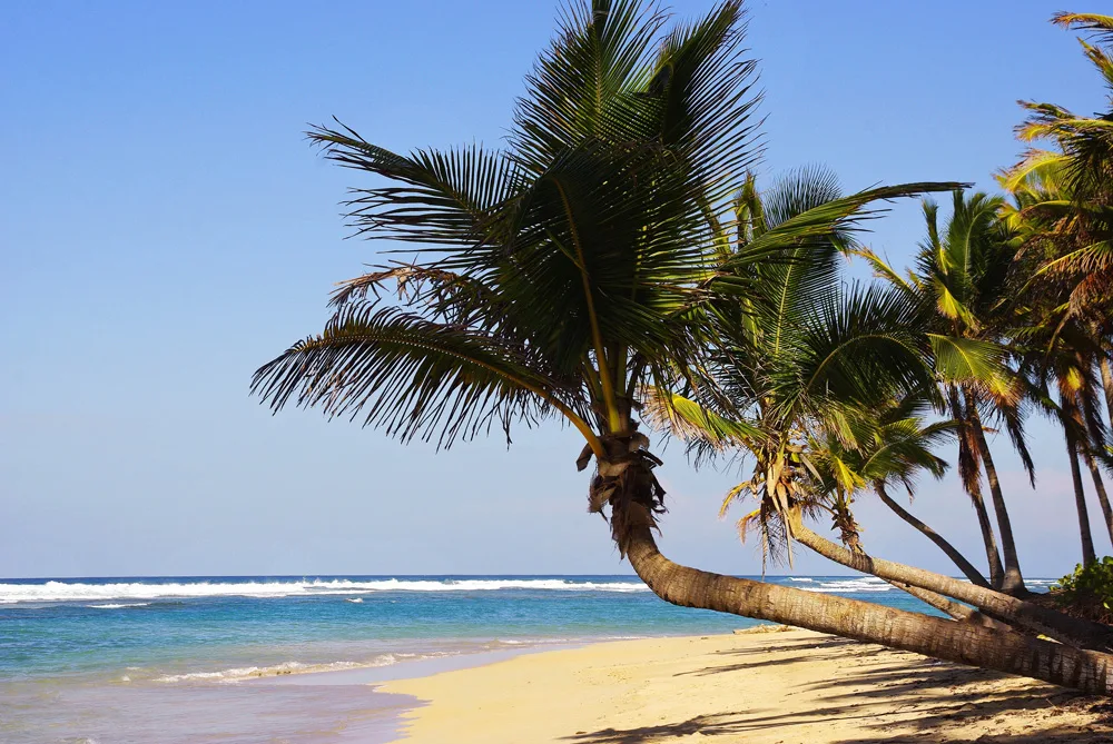 Vacances sous le soleil caribéen : les Bahamas et la République dominicaine