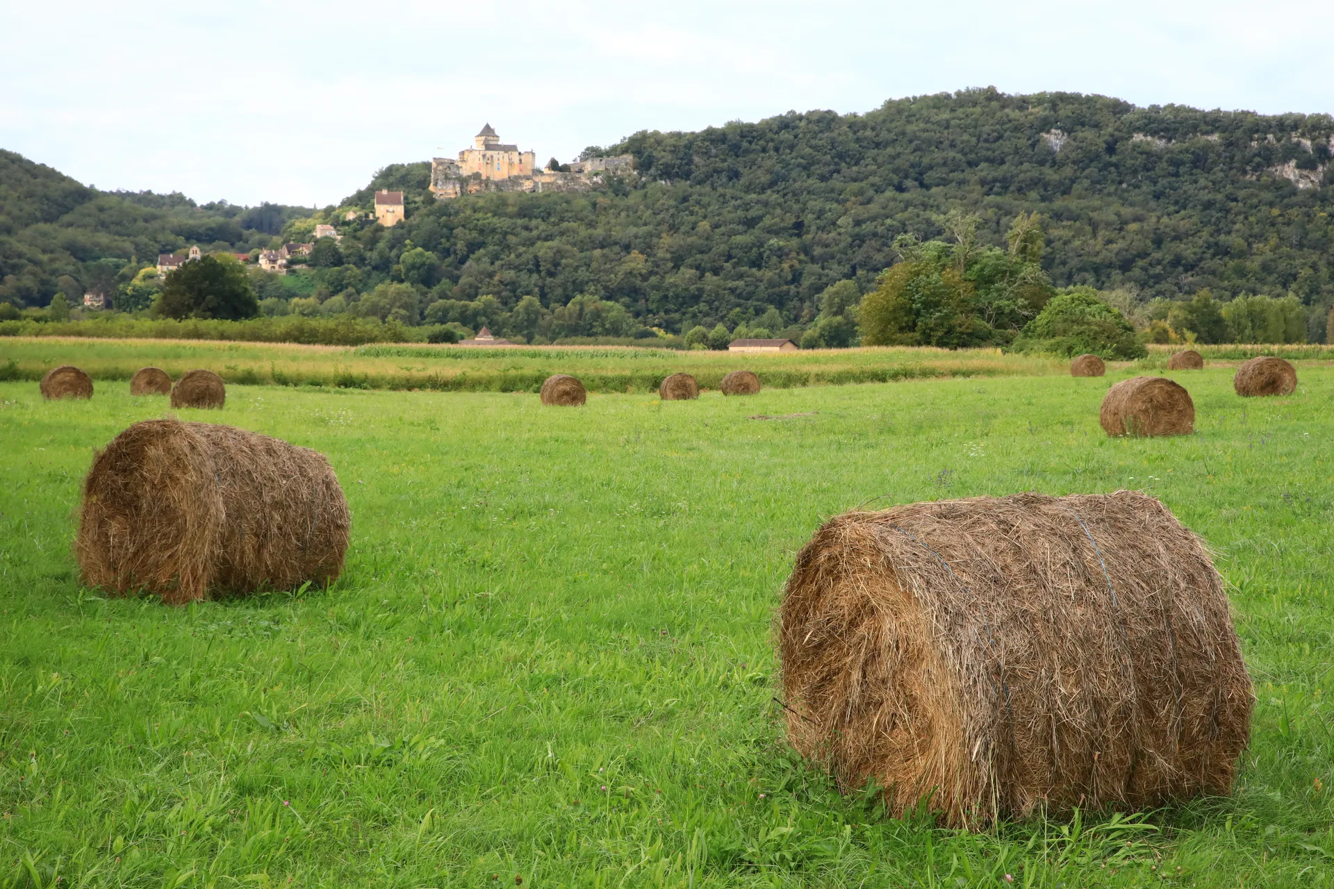 Campagne du Périgord en fin d'été : prairie fauchée, bottes de paille et village perché de Castelnaud-la-Chapelle au loin
